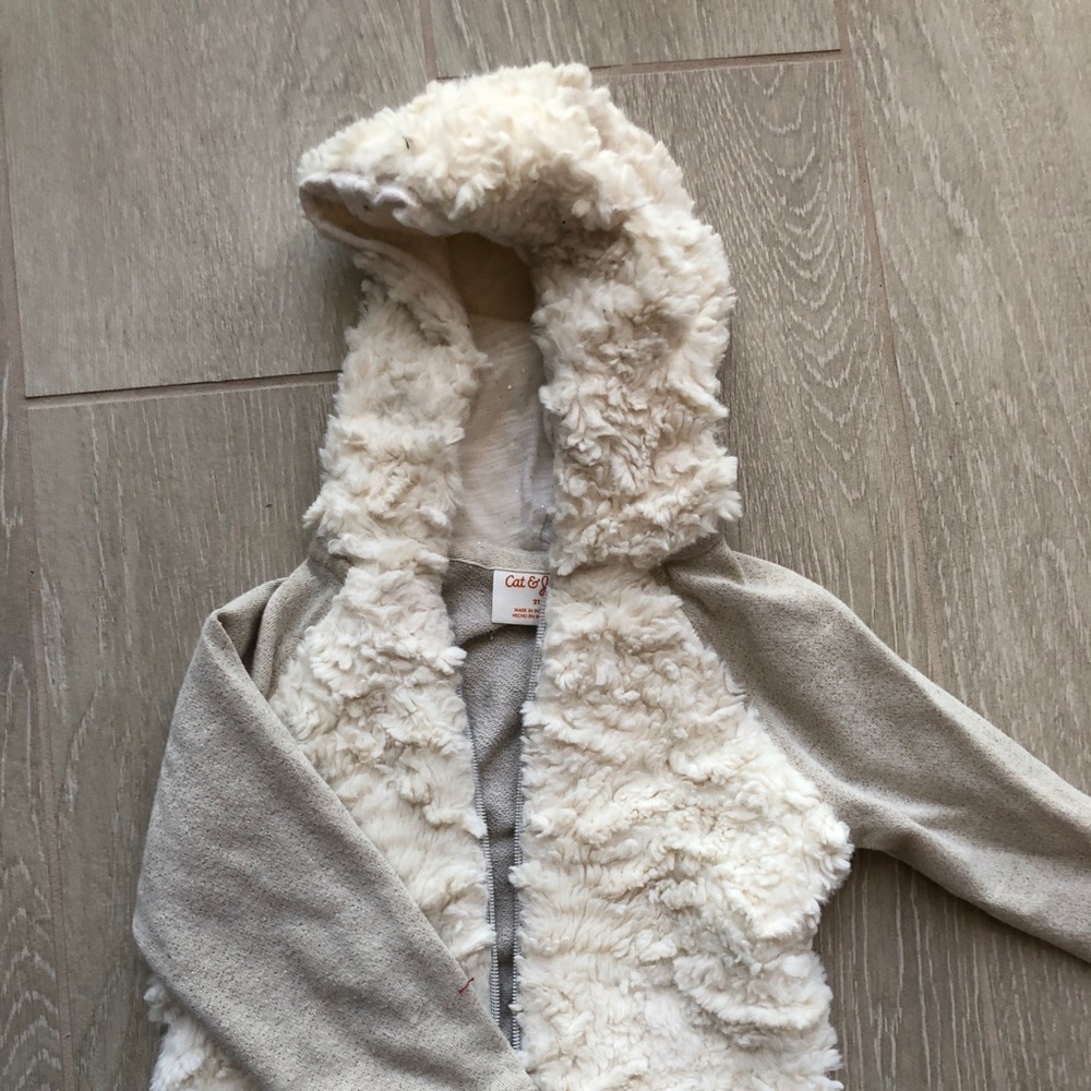Cat and Jack Hoody Sz 2